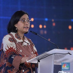 Sri Mulyani Ungkap Kepastian Kenaikan PPN 12% di Tangan Presiden Baru
