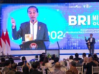 Jokowi Puji Inklusi Keuangan BRI di BRI Microfinance Outlook 2024