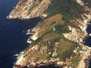 Pulau Terlarang yang Jadi Markas Ular Beracun di Brasil