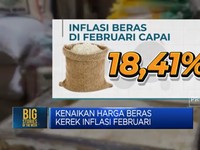 Video: Stok Langka, Harga Beras Menggila Tembus Rekor
