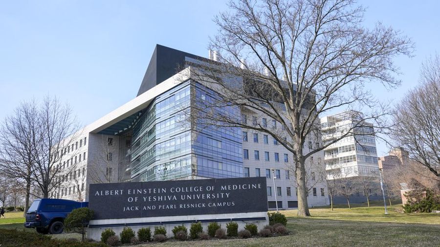 The campus of the Albert Einstein College of Medicine is seen, Tuesday, Feb. 27, 2024, in the Bronx borough of New York. The medical school will be tuition-free for all students from now on thanks to a $1 billion donation from former professor Ruth Gottesman, the widow of a Wall Street investor. (AP Photo/Mary Altaffer)