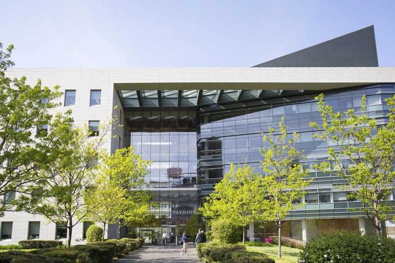 The campus of the Albert Einstein College of Medicine is seen, Tuesday, Feb. 27, 2024, in the Bronx borough of New York. The medical school will be tuition-free for all students from now on thanks to a $1 billion donation from former professor Ruth Gottesman, the widow of a Wall Street investor. (AP Photo/Mary Altaffer)