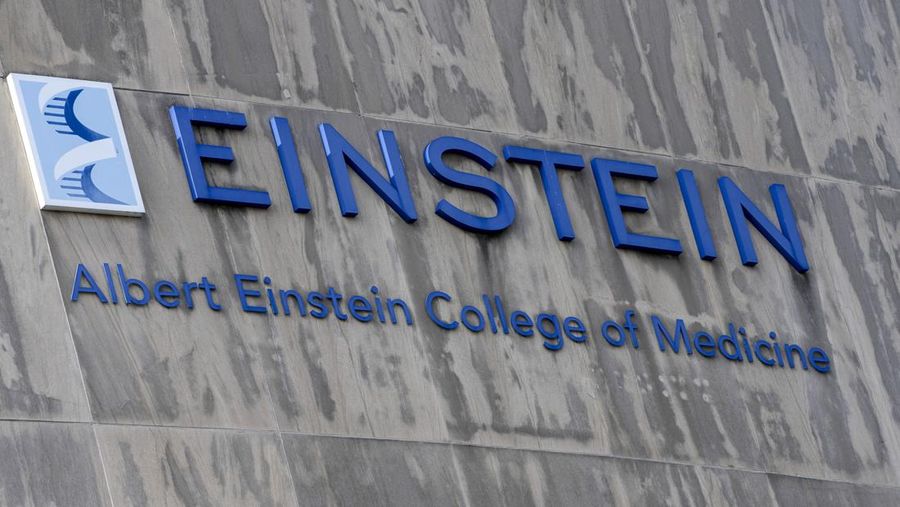 The campus of the Albert Einstein College of Medicine is seen, Tuesday, Feb. 27, 2024, in the Bronx borough of New York. The medical school will be tuition-free for all students from now on thanks to a $1 billion donation from former professor Ruth Gottesman, the widow of a Wall Street investor. (AP Photo/Mary Altaffer)