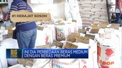 Video: Simak! Ini Perbedaan Beras Premium & Medium
