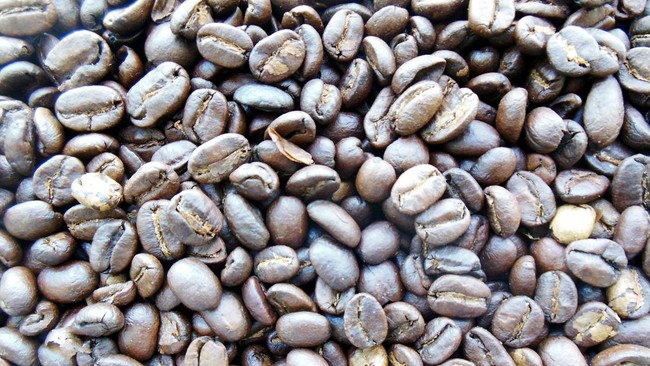 Panen Kopi Brasil Pecah Rekor, Vietnam Menggila: Ngopi Lebih Murah?