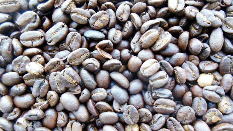 Kopi luwak. (Dok. Pixabay) Kopi luwak. (Dok. Pixabay)