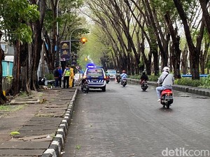 Tanggapan Peneliti ITS soal Pohon Tumbang Telan Korban Jiwa di Surabaya