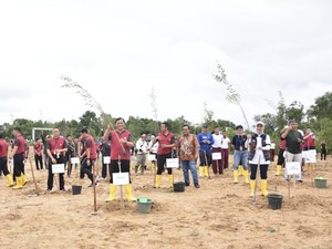 2 Hektare Lahan Kritis Dekat Bandara Pangkalpinang Ditanami Pohon