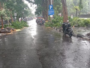 Pohon Tumbang Timpa 10 Motor di Taman Bungkul Surabaya