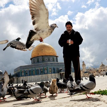 Penampakan Terkini Kompleks Masjid Al-Aqsa Jelang Ramadan