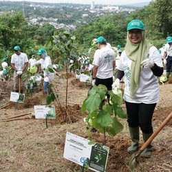 WIKA & BRIN Tanam 29 Spesies Pohon Langka di Wikasatrian