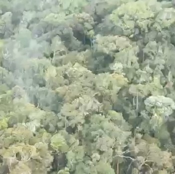 Lokasi Tempat Jatuhnya Pesawat Kargo Smart Air, Pilot Selamat