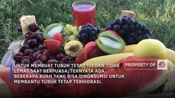 Video: 7 Buah Terbaik Untuk Sahur, Bikin Badan Gak Lemas!