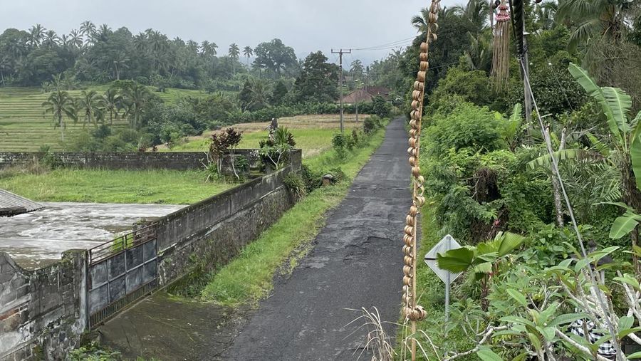 Hari ini Senin (11/03/2024) masyarakat Bali sedang merayakan Hari Raya Nyepi. Potret kesunyian terlihat jelas di jalan Desa Sangketan. (Dok. DetikTravel/Ni Made Nami Krisnayanti)