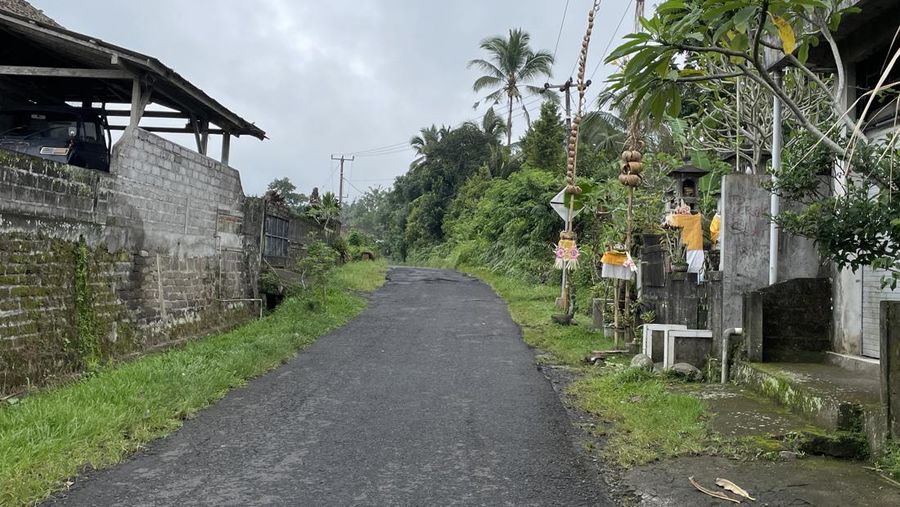 Hari ini Senin (11/03/2024) masyarakat Bali sedang merayakan Hari Raya Nyepi. Potret kesunyian terlihat jelas di jalan Desa Sangketan. (Dok. DetikTravel/Ni Made Nami Krisnayanti)