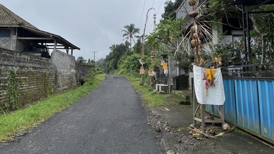 Hari ini Senin (11/03/2024) masyarakat Bali sedang merayakan Hari Raya Nyepi. Potret kesunyian terlihat jelas di jalan Desa Sangketan. (Dok. DetikTravel/Ni Made Nami Krisnayanti)