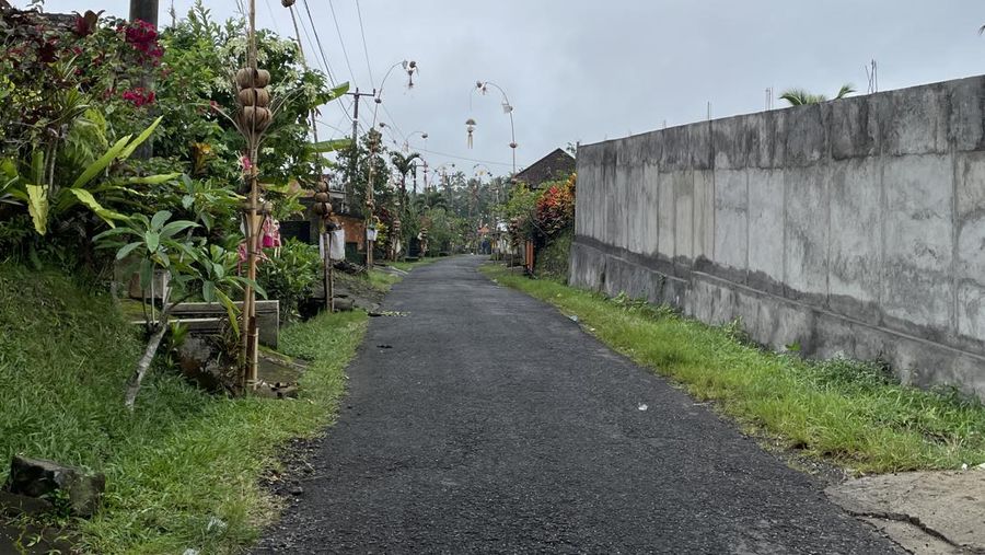 Hari ini Senin (11/03/2024) masyarakat Bali sedang merayakan Hari Raya Nyepi. Potret kesunyian terlihat jelas di jalan Desa Sangketan. (Dok. DetikTravel/Ni Made Nami Krisnayanti)