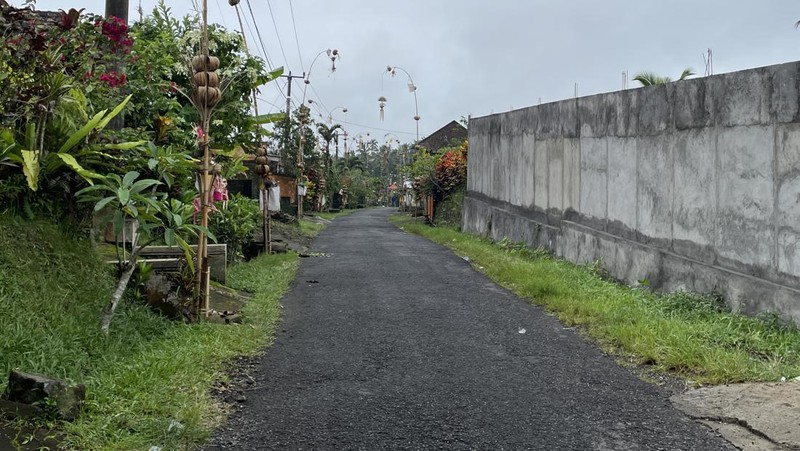 Hari ini Senin (11/03/2024) masyarakat Bali sedang merayakan Hari Raya Nyepi. Potret kesunyian terlihat jelas di jalan Desa Sangketan. (Dok. DetikTravel/Ni Made Nami Krisnayanti)