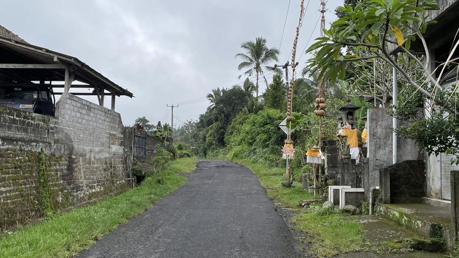 Hari ini Senin (11/03/2024) masyarakat Bali sedang merayakan Hari Raya Nyepi. Potret kesunyian terlihat jelas di jalan Desa Sangketan. (Dok. DetikTravel/Ni Made Nami Krisnayanti)
