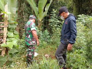 Geger Anjing Gigit Potongan Tubuh Bayi di Toraja Utara, Polisi Selidiki