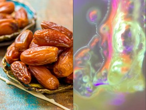 Masya Allah! Begini Tampilan Buah Kurma di Bawah Mikroskop