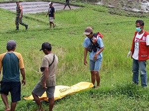 Diduga Kelelahan, Buruh Tani Asal Jember Tewas di Lahan Subak Gianyar