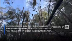 Dramatis, Momen Pilot Smart Air Dievakuasi Dari Hutan Kalimantan
