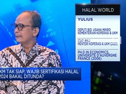 Alasan Kemenkop UKM Minta Sertifikasi Halal UMKM 2024 Ditunda