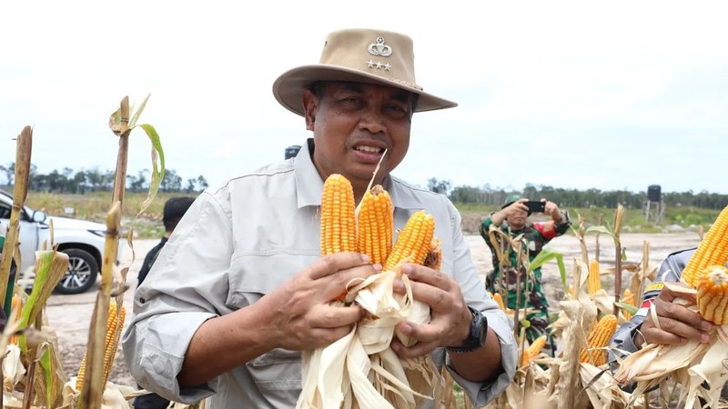 Asisten Khusus Menhan Bidang Ketahanan Pangan, Letjen TNI (Purn) Ida Bagus Purwalaksana, mewakili Menteri Pertahanan Prabowo Subianto, menghadiri panen raya jagung di lahan food estate Desa Tewai Baru, Kecamatan Sepang, Kabupaten Gunung Mas, Kalimantan Tengah, Senin (11/3/2024), hasil kerja sama Kementerian Pertahanan dengan Kementerian Pertanian. (Instagram @kemhanri)