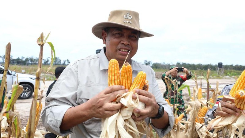 Asisten Khusus Menhan Bidang Ketahanan Pangan, Letjen TNI (Purn) Ida Bagus Purwalaksana, mewakili Menteri Pertahanan Prabowo Subianto, menghadiri panen raya jagung di lahan food estate Desa Tewai Baru, Kecamatan Sepang, Kabupaten Gunung Mas, Kalimantan Tengah, Senin (11/3/2024), hasil kerja sama Kementerian Pertahanan dengan Kementerian Pertanian. (Instagram @kemhanri)