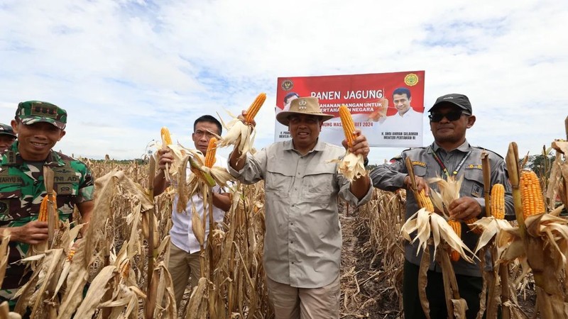 Asisten Khusus Menhan Bidang Ketahanan Pangan, Letjen TNI (Purn) Ida Bagus Purwalaksana, mewakili Menteri Pertahanan Prabowo Subianto, menghadiri panen raya jagung di lahan food estate Desa Tewai Baru, Kecamatan Sepang, Kabupaten Gunung Mas, Kalimantan Tengah, Senin (11/3/2024), hasil kerja sama Kementerian Pertahanan dengan Kementerian Pertanian. Asisten Khusus Menhan Bidang Ketahanan Pangan, Letjen TNI (Purn) Ida Bagus Purwalaksana, mewakili Menteri Pertahanan Prabowo Subianto, menghadiri panen raya jagung di lahan food estate Desa Tewai Baru, Kecamatan Sepang, Kabupaten Gunung Mas, Kalimantan Tengah, Senin (11/3/2024), hasil kerja sama Kementerian Pertahanan dengan Kementerian Pertanian. (Instagram @kemhanri)