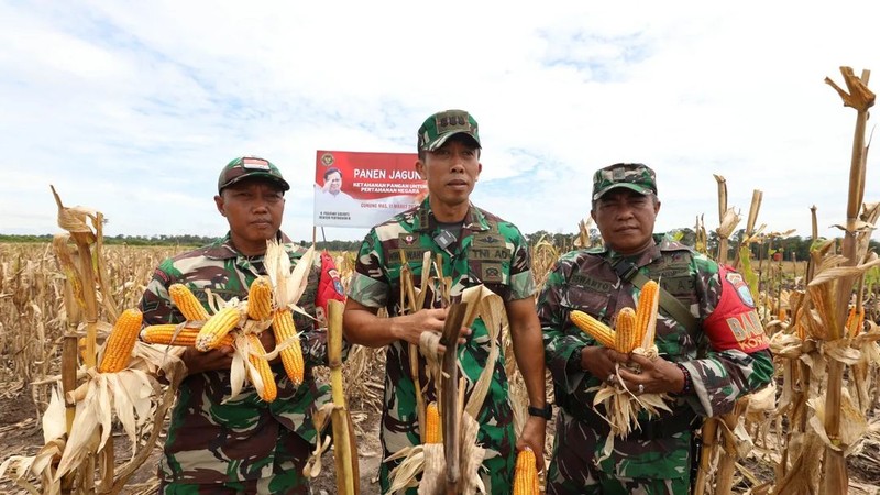 Asisten Khusus Menhan Bidang Ketahanan Pangan, Letjen TNI (Purn) Ida Bagus Purwalaksana, mewakili Menteri Pertahanan Prabowo Subianto, menghadiri panen raya jagung di lahan food estate Desa Tewai Baru, Kecamatan Sepang, Kabupaten Gunung Mas, Kalimantan Tengah, Senin (11/3/2024), hasil kerja sama Kementerian Pertahanan dengan Kementerian Pertanian. Asisten Khusus Menhan Bidang Ketahanan Pangan, Letjen TNI (Purn) Ida Bagus Purwalaksana, mewakili Menteri Pertahanan Prabowo Subianto, menghadiri panen raya jagung di lahan food estate Desa Tewai Baru, Kecamatan Sepang, Kabupaten Gunung Mas, Kalimantan Tengah, Senin (11/3/2024), hasil kerja sama Kementerian Pertahanan dengan Kementerian Pertanian. (Instagram @kemhanri)