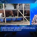 Video: Capai Target 10 Juta Sertifikasi Halal UMKM, Gimana Caranya?