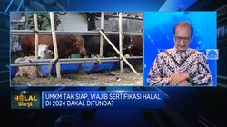 Video: Capai Target 10 Juta Sertifikasi Halal UMKM, Gimana Caranya?