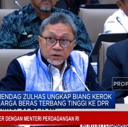 Video: Mendag Zulhas Ungkap Biang Kerok Kenaikan Harga Beras