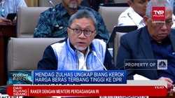 Video: Mendag Zulhas Ungkap Biang Kerok Kenaikan Harga Beras