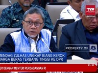 Video: Mendag Zulhas Ungkap Biang Kerok Kenaikan Harga Beras