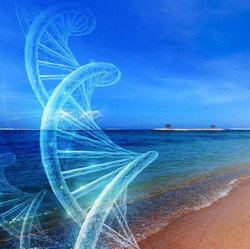 Top! Health Tech Australia Ini Ikut Garap Wisata Medis di KEK Sanur