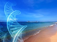 Top! Health Tech Australia Ini Ikut Garap Wisata Medis di KEK Sanur