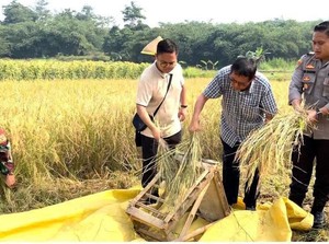 Iptu Hotma Gerakkan Ekonomi Warga Panongan Tangerang Lewat Bertani-Ternak