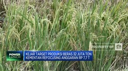 Kejar Target Produksi Beras 32 Juta Ton, Kementan Refocusing Anggaran