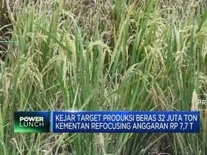 Kejar Target Produksi Beras 32 Juta Ton, Kementan Refocusing Anggaran