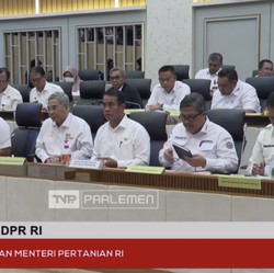 Mentan, Kepala Badan Pangan dan Bos BUMN Kumpul di DPR, Ada Apa?