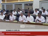 Mentan, Kepala Badan Pangan dan Bos BUMN Kumpul di DPR, Ada Apa?
