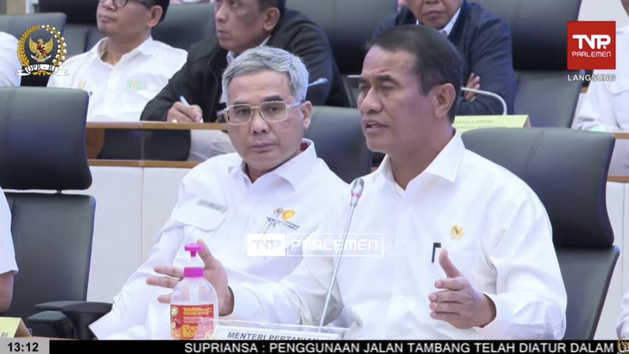 Mentan Amran Sulaiman. (Tangkapan kayar Youtube DPR RI)