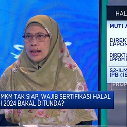 Video: MUI Ungkap Daftar Tantangan Kejar Target Wajib Halal UMKM 2024