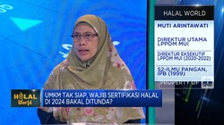 Video: MUI Ungkap Daftar Tantangan Kejar Target Wajib Halal UMKM 2024