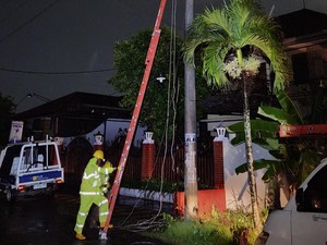 PLN Percepat Pemulihan Listrik Dampak Cuaca Ekstrem di Jateng