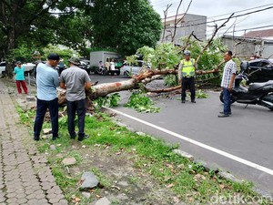 Cuaca Ekstrem di NTB, 3 Warga Tertimpa Pohon-Puluhan Rumah Terendam Rob
