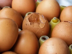 7 Tanda Telur Ayam Sudah Tak Lagi Segar, Jangan Dikonsumsi!